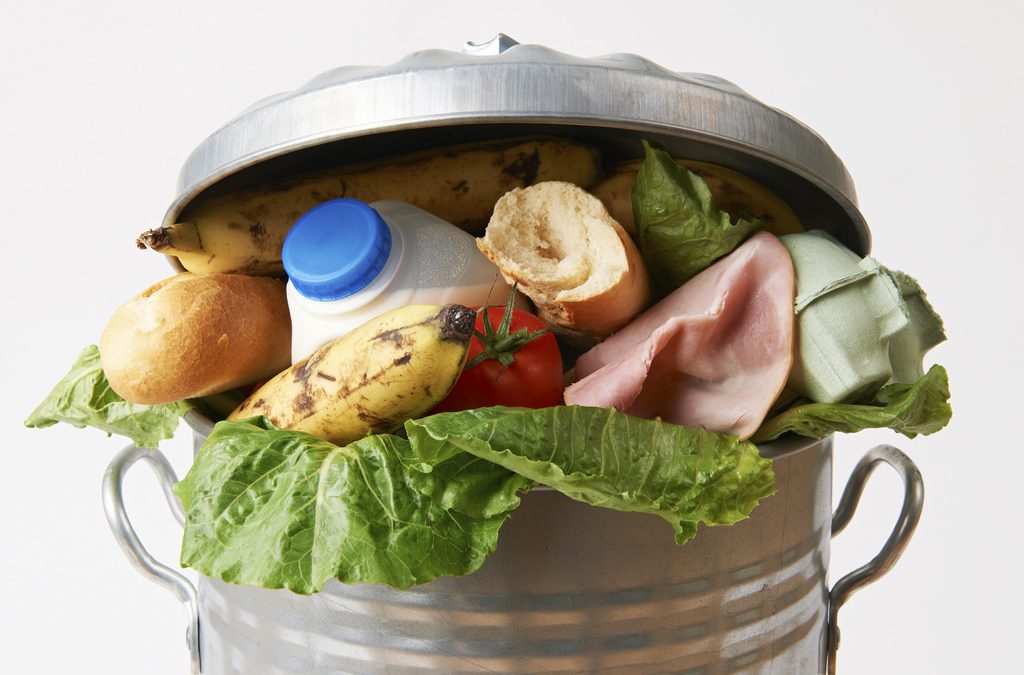 Food waste reduction interventions – Ny artikel i tidskriften Food Policy