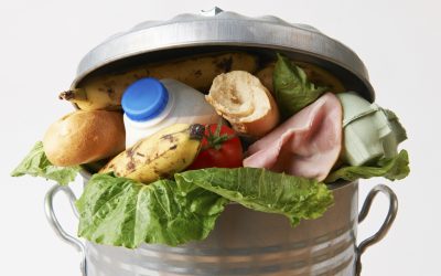 Food waste reduction interventions – Ny artikel i tidskriften Food Policy