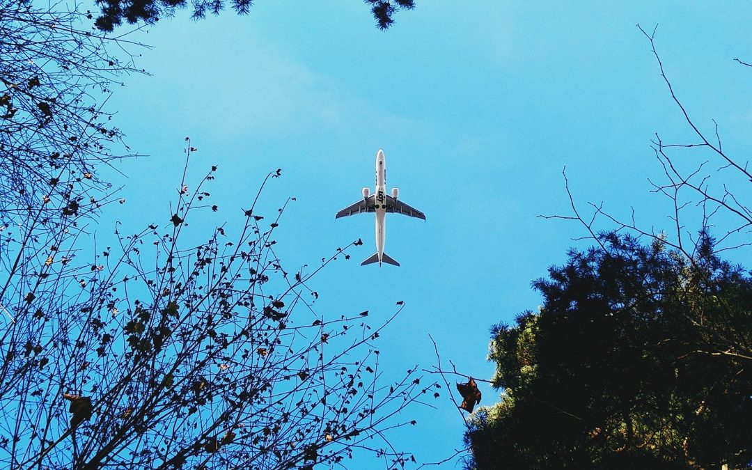 Soon we’ll be flying again – Here’s how politicians can help make air traffic greener