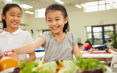 Climate friendly school meals without protests