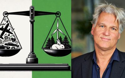 Webinar: Power and the State in Degrowth Transformation