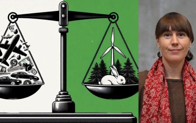 Webinar: Relational approaches to power in sustainability transitions