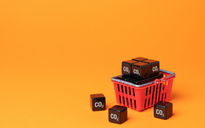 Ny forskningsrapport: här är ingredienserna som krävs för en hållbar konsumtion