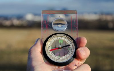 Forskningsprojekt om hållbar konsumtion efter 2025